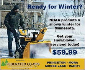 Cub Cadet