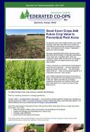 July 9, 2019 Agronomy Update