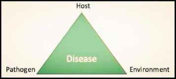 Disease diagram