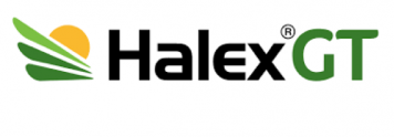 Halex GT logo