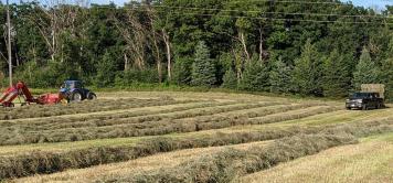 baling hay 2020