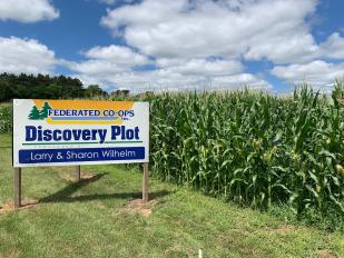 2020 Discovery Plot