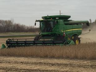 Patnode Farm plot harvest