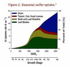 seasonal sulfur uptake
