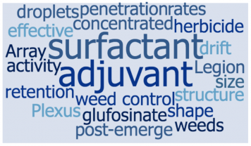 adjuvant word cloud