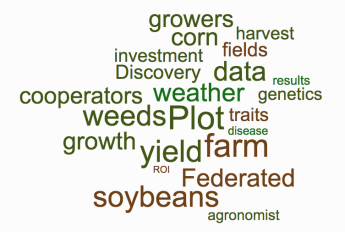 plot word cloud