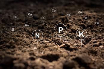soil test shows N P K etc.