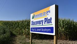 Bostrom Farm: One of five Discovery Plot locations