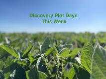Discovery Plots this week