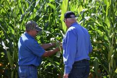 touch and see plots in person this year
