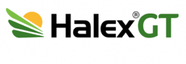 Halex GT logo