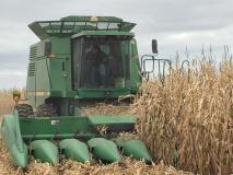 Lezer plot harvest in Foley