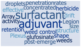 adjuvant word cloud