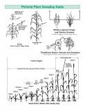 Tissues sampling guidelines