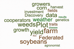 plot word cloud