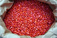 seed corn in bag
