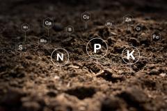 soil test shows N P K etc.
